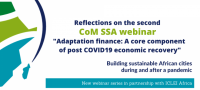 Adaptation finance, a core component of post-COVID-19 economic recovery